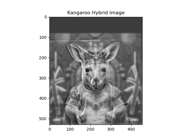 Kangaroo.jpg