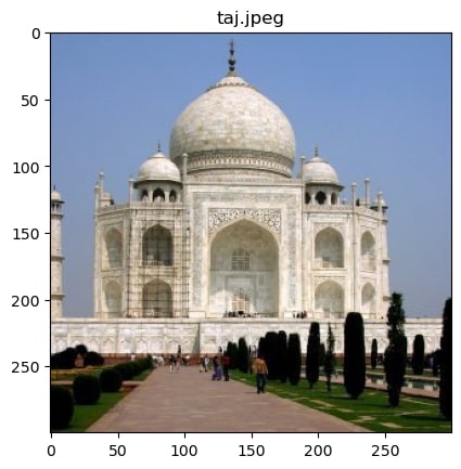 taj.jpg